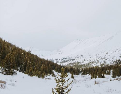 Phong cảnh tuyết trắng làm hình nền điện thoại cực đẹp và lãng mạn